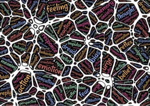 Complexity management and how it can build a successful business Complexity management